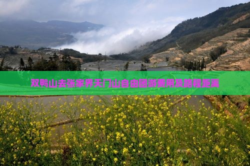 双鸭山去张家界天门山自由团游费用及路程距离