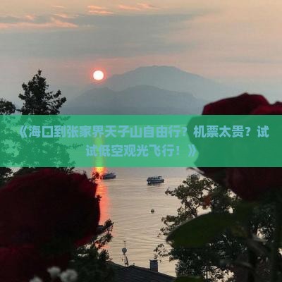 《海口到张家界天子山自由行？机票太贵？试试低空观光飞行！》