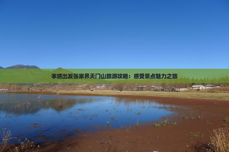 孝感出发张家界天门山旅游攻略：感受景点魅力之旅