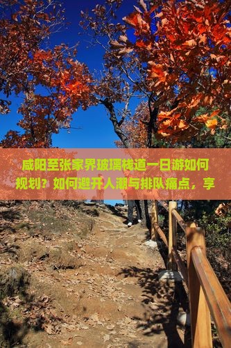 咸阳至张家界玻璃栈道一日游如何规划？如何避开人潮与排队痛点，享柿浸式旅行体验？