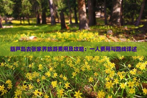 葫芦岛去张家界旅游费用及攻略：一人费用与路线详述