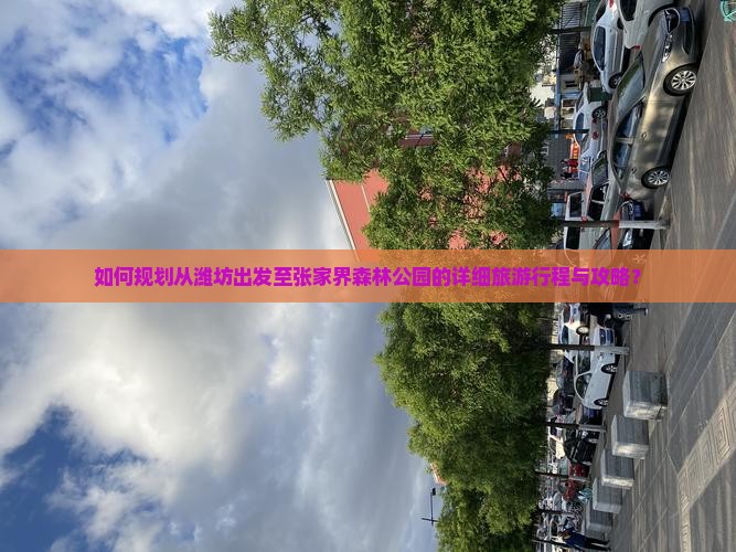 如何规划从潍坊出发至张家界森林公园的详细旅游行程与攻略？