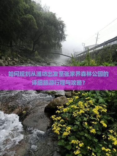如何规划从潍坊出发至张家界森林公园的详细旅游行程与攻略？