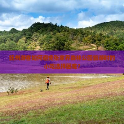 抚州游客如何避免张家界森林公园旅游时的小吃选择困难？