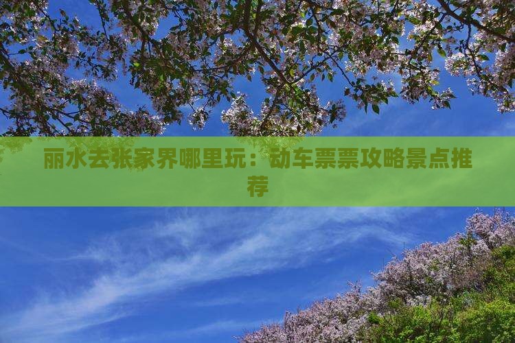 丽水去张家界哪里玩：动车票票攻略景点推荐