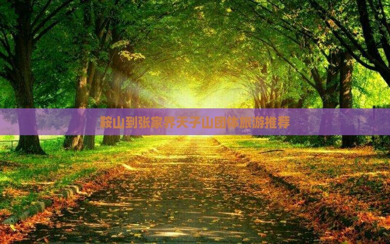 鞍山到张家界天子山团体旅游推荐