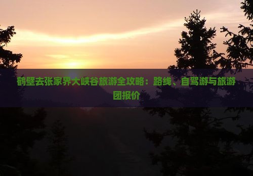 鹤壁去张家界大峡谷旅游全攻略：路线、自驾游与旅游团报价