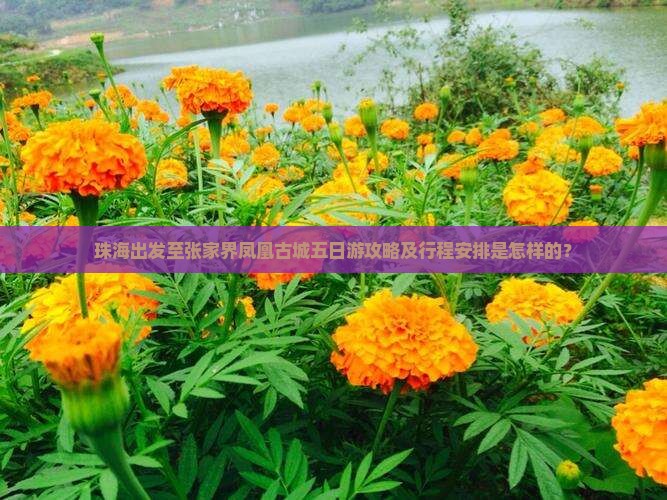 珠海出发至张家界凤凰古城五日游攻略及行程安排是怎样的？
