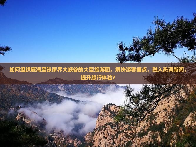 如何组织威海至张家界大峡谷的大型旅游团，解决游客痛点，融入热词新词，提升旅行体验？