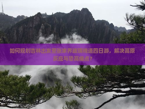 如何规划吉林出发至张家界玻璃栈道四日游，解决高原反应与恐高痛点？