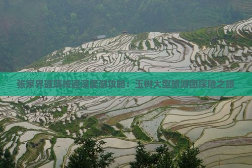 张家界玻璃栈道深度游攻略：玉树大型旅游团探险之旅