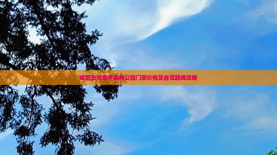 咸阳去张家界森林公园门票价格及自驾路线攻略