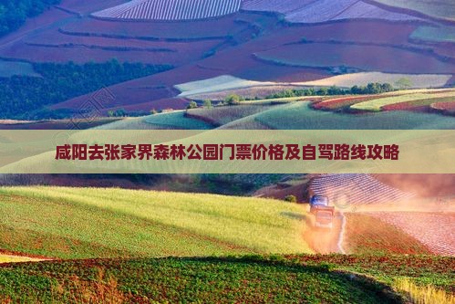 咸阳去张家界森林公园门票价格及自驾路线攻略