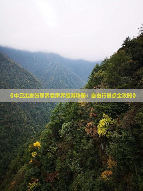《中卫出发张家界袁家界旅游攻略：自由行景点全攻略》