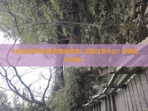 十月去张家界袁家界团体旅游？需要注意什么？有哪些好玩的？