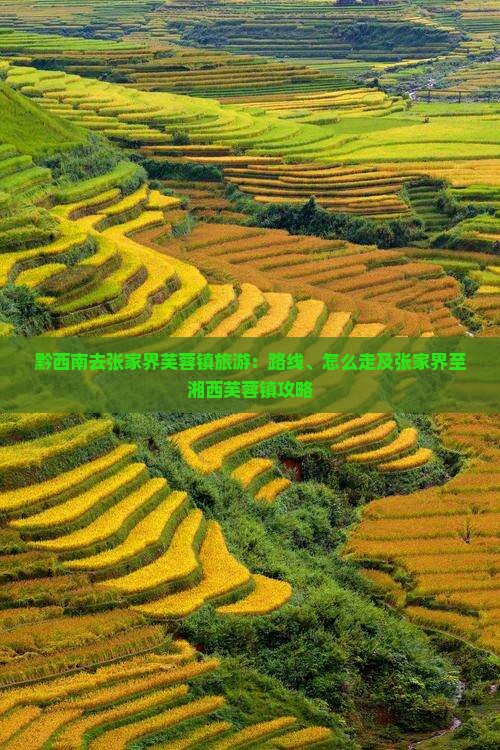 黔西南去张家界芙蓉镇旅游：路线、怎么走及张家界至湘西芙蓉镇攻略