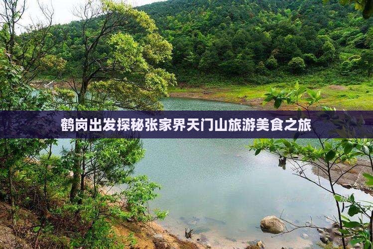 鹤岗出发探秘张家界天门山旅游美食之旅