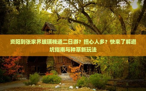 资阳到张家界玻璃栈道二日游？担心人多？快来了解避坑指南与种草新玩法