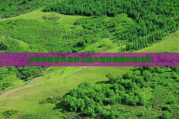 泸州去张家界森林公园大型旅游团价格详情