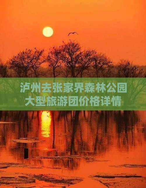 泸州去张家界森林公园大型旅游团价格详情