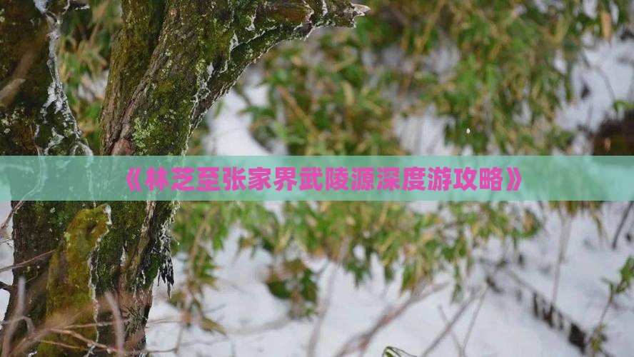 《林芝至张家界武陵源深度游攻略》