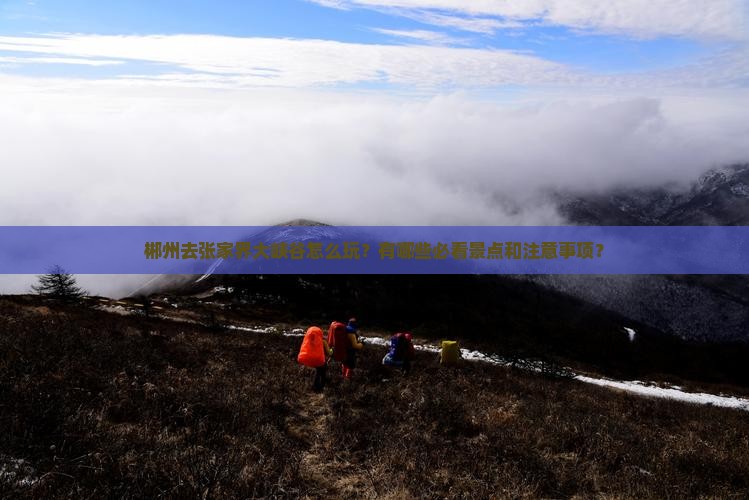 郴州去张家界大峡谷怎么玩？有哪些必看景点和注意事项？