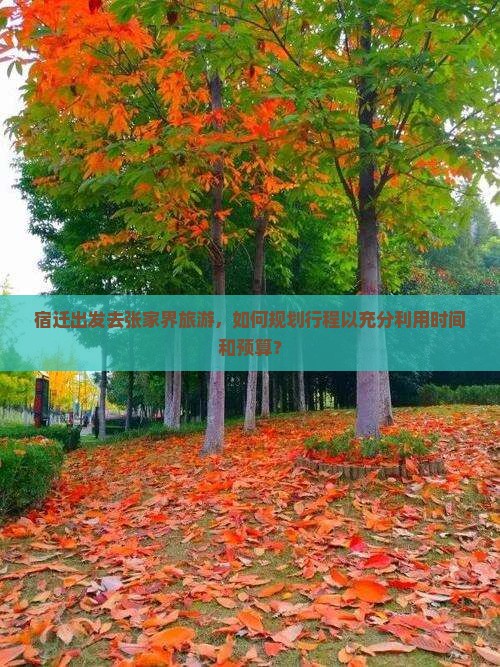 宿迁出发去张家界旅游，如何规划行程以充分利用时间和预算？