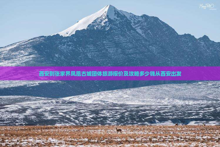 西安到张家界凤凰古城团体旅游报价及攻略多少钱从西安出发