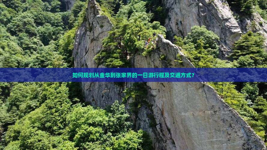 如何规划从金华到张家界的一日游行程及交通方式？