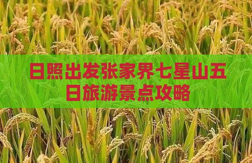 日照出发张家界七星山五日旅游景点攻略