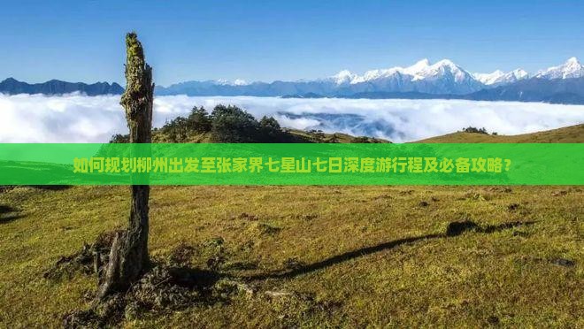 如何规划柳州出发至张家界七星山七日深度游行程及必备攻略？