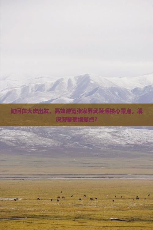 如何在大庆出发，高效游览张家界武陵源核心景点，解决游客拥堵痛点？