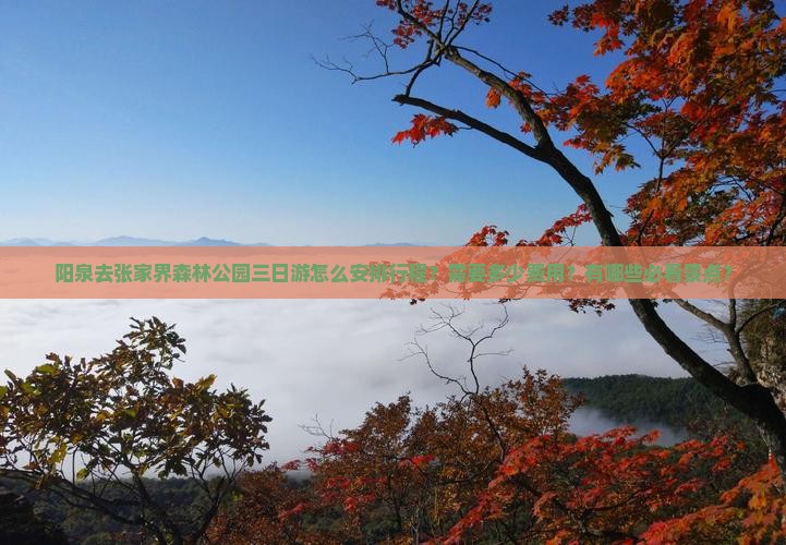 阳泉去张家界森林公园三日游怎么安排行程？需要多少费用？有哪些必看景点？