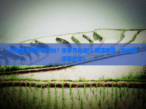 长春去张家界旅行社？张家界自由行+玻璃栈道，选对玩法是关键！