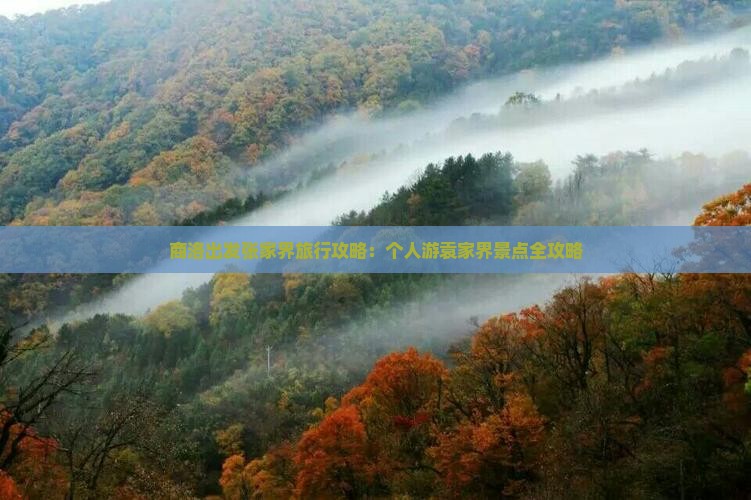 商洛出发张家界旅行攻略：个人游袁家界景点全攻略