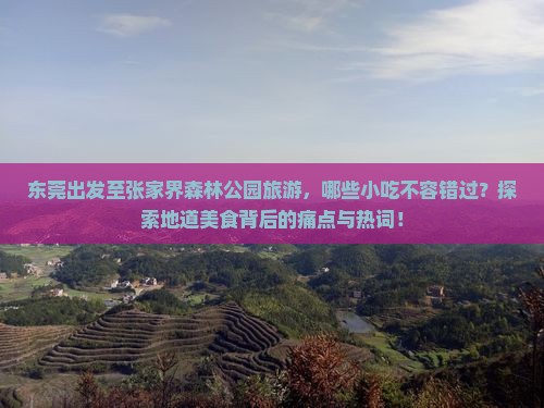 东莞出发至张家界森林公园旅游，哪些小吃不容错过？探索地道美食背后的痛点与热词！