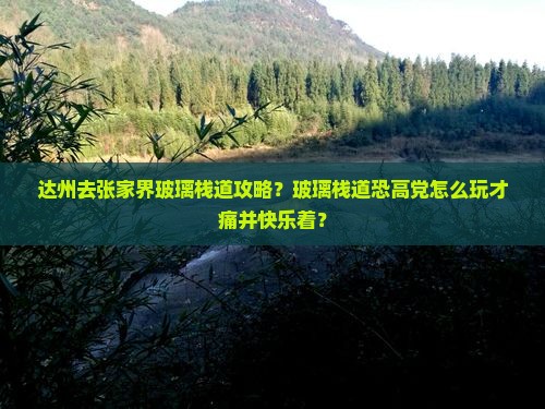 达州去张家界玻璃栈道攻略?玻璃栈道恐高党怎么玩才痛并快乐着? 达州去张家界玻璃栈道攻略?玻璃栈道恐高党怎么玩才痛并快乐着?