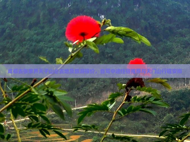 成都去张家界天子山必去地及旅游报价，自驾中途住宿推荐与天门山行程安排