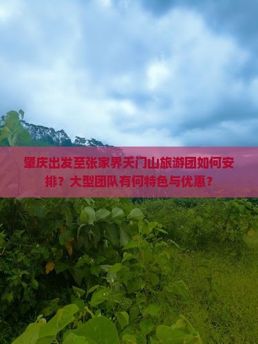 肇庆出发至张家界天门山旅游团如何安排？大型团队有何特色与优惠？