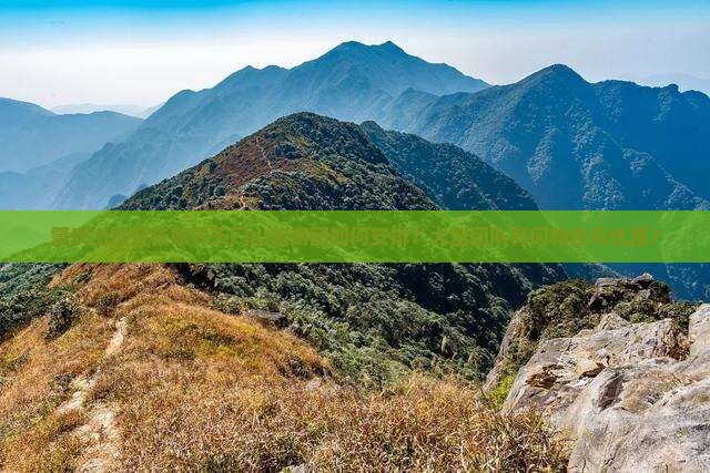 肇庆出发至张家界天门山旅游团如何安排？大型团队有何特色与优惠？