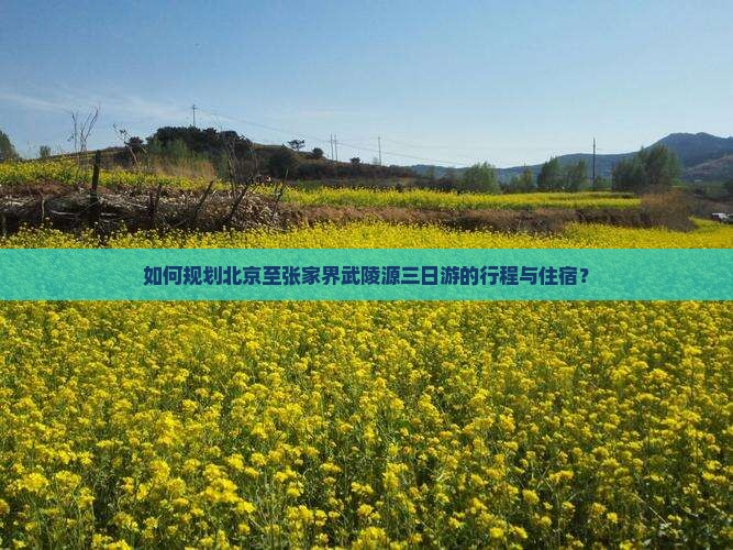 如何规划北京至张家界武陵源三日游的行程与住宿？