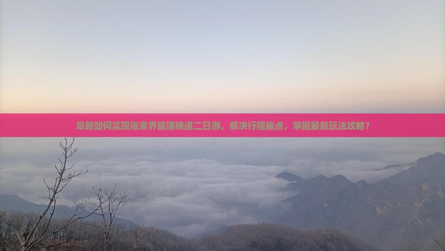 阜新如何实现张家界玻璃栈道二日游，解决行程痛点，掌握最新玩法攻略？