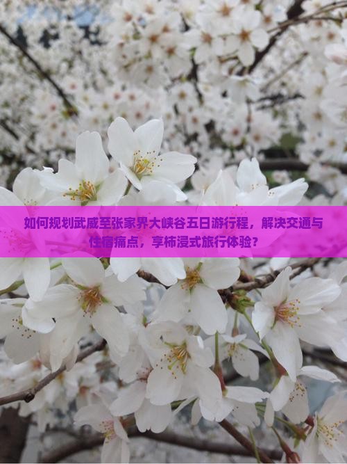 如何规划武威至张家界大峡谷五日游行程，解决交通与住宿痛点，享柿浸式旅行体验？