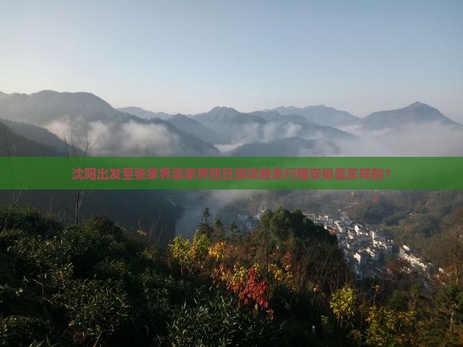 沈阳出发至张家界袁家界四日游攻略及行程安排是怎样的？