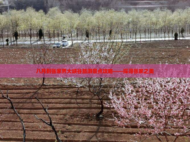 八月到张家界大峡谷旅游景点攻略——探寻张家之美
