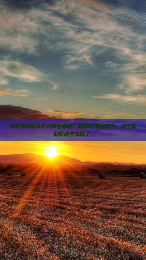 清明节到张家界大峡谷旅游？玻璃桥+悬崖秋千，这个假期有这些就够了！
