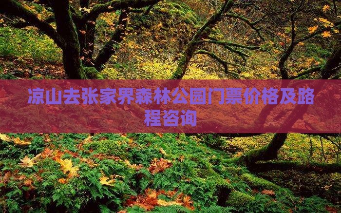 凉山去张家界森林公园门票价格及路程咨询