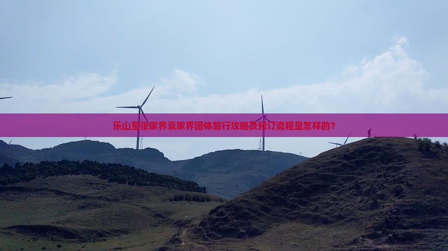 乐山至张家界袁家界团体旅行攻略及预订流程是怎样的？