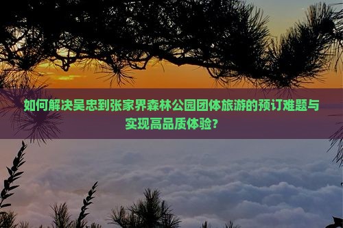 如何解决吴忠到张家界森林公园团体旅游的预订难题与实现高品质体验？