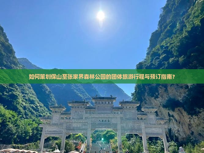 如何策划保山至张家界森林公园的团体旅游行程与预订指南？